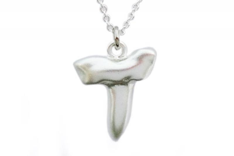[Ozel] Delicate Fit Necklace