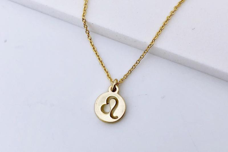 [Ozel] Delicate Fit Necklace