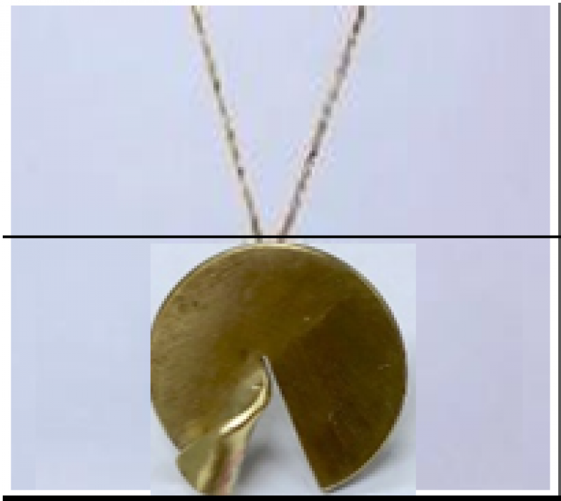 [Ozel] Daily Point Glossy Brass Necklace