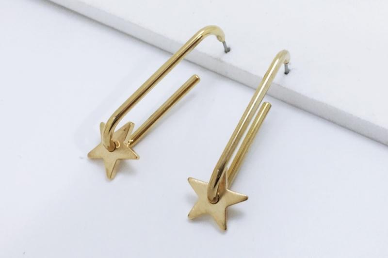 [Ozel] Sophisticated Matte Glossy Brass Earrings