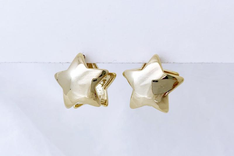 [Ozel] Shiny BRASS Earring