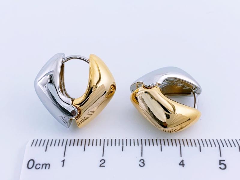 [Ozel] Shiny BRASS Earring