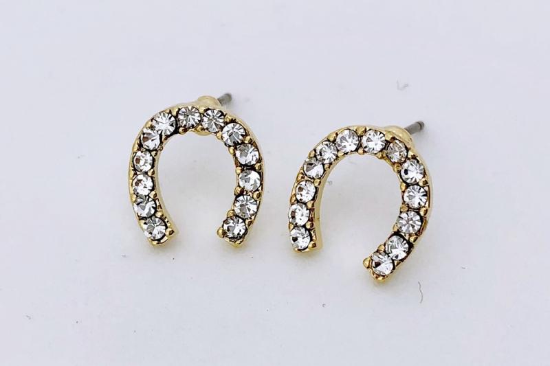 [Ozel] Luxurious Earrings