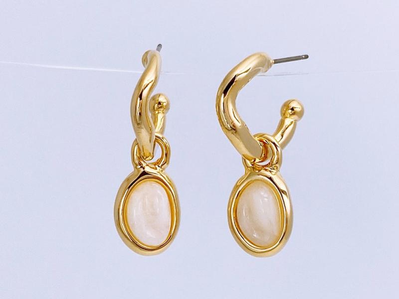 [Ozel] ZINC Earring